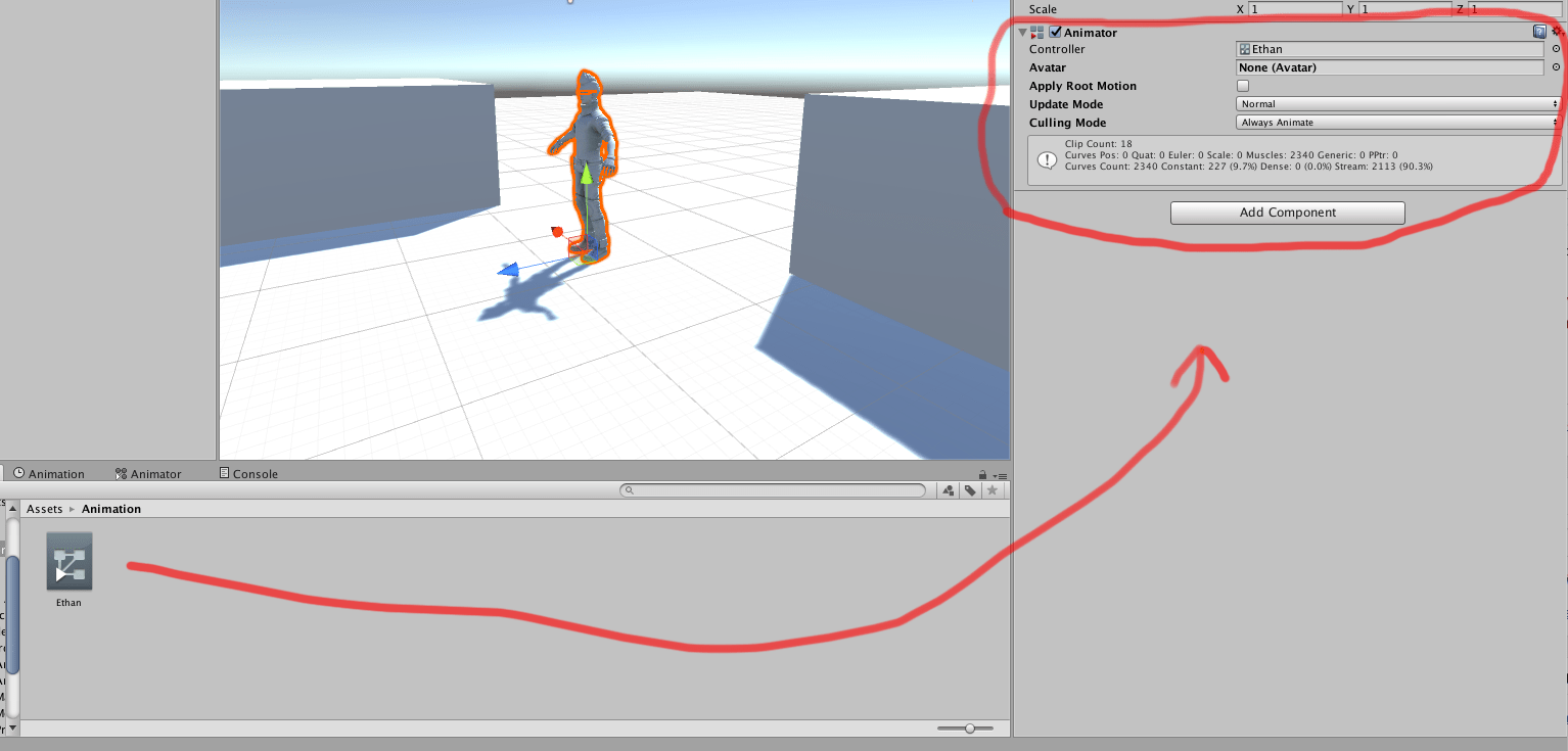 Unity Animator Tutorial Animating Your Game Characters