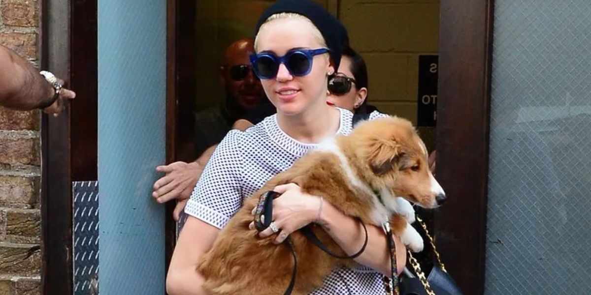 43 Celebrities Have Unexpectedly Gone to the Dogs Meet Their Furry