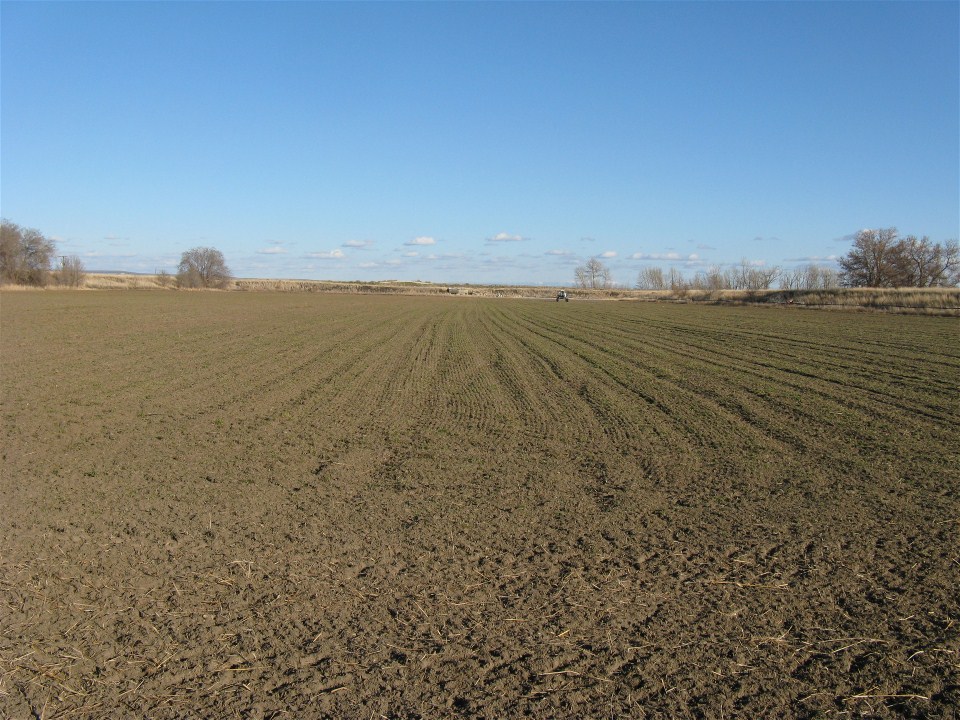Preparing and Planting for Hay Game Farm Hay Game Farm Hay