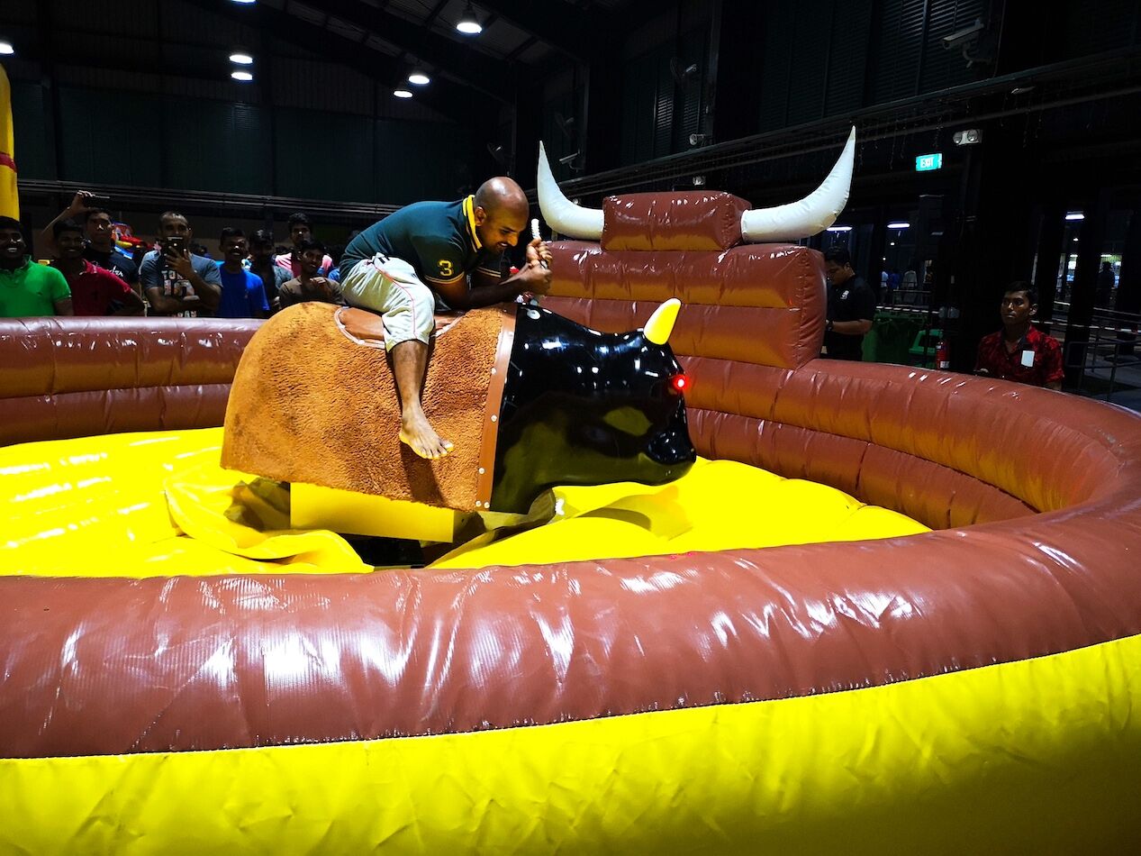 Rodeo Bull Rental Game Master