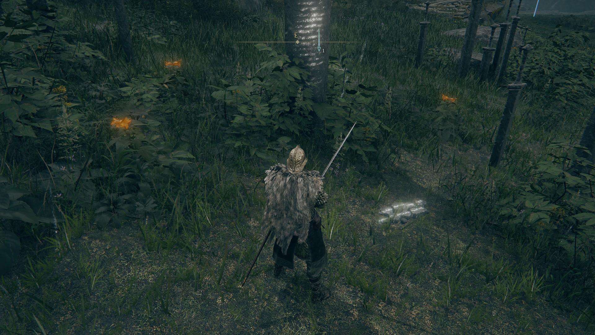 ELDEN RING Erdleaf Flower Farm Guide