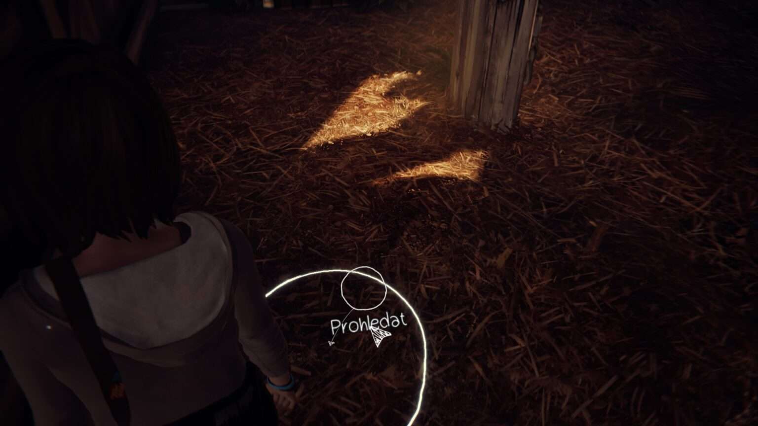 Life is Strange Remastered Barn Bug Solution (Episode 4)