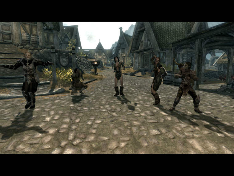 Управление компаньонами / Amazing Follower Tweaks (AFT) Геймплей I Анимация TES V Skyrim LE