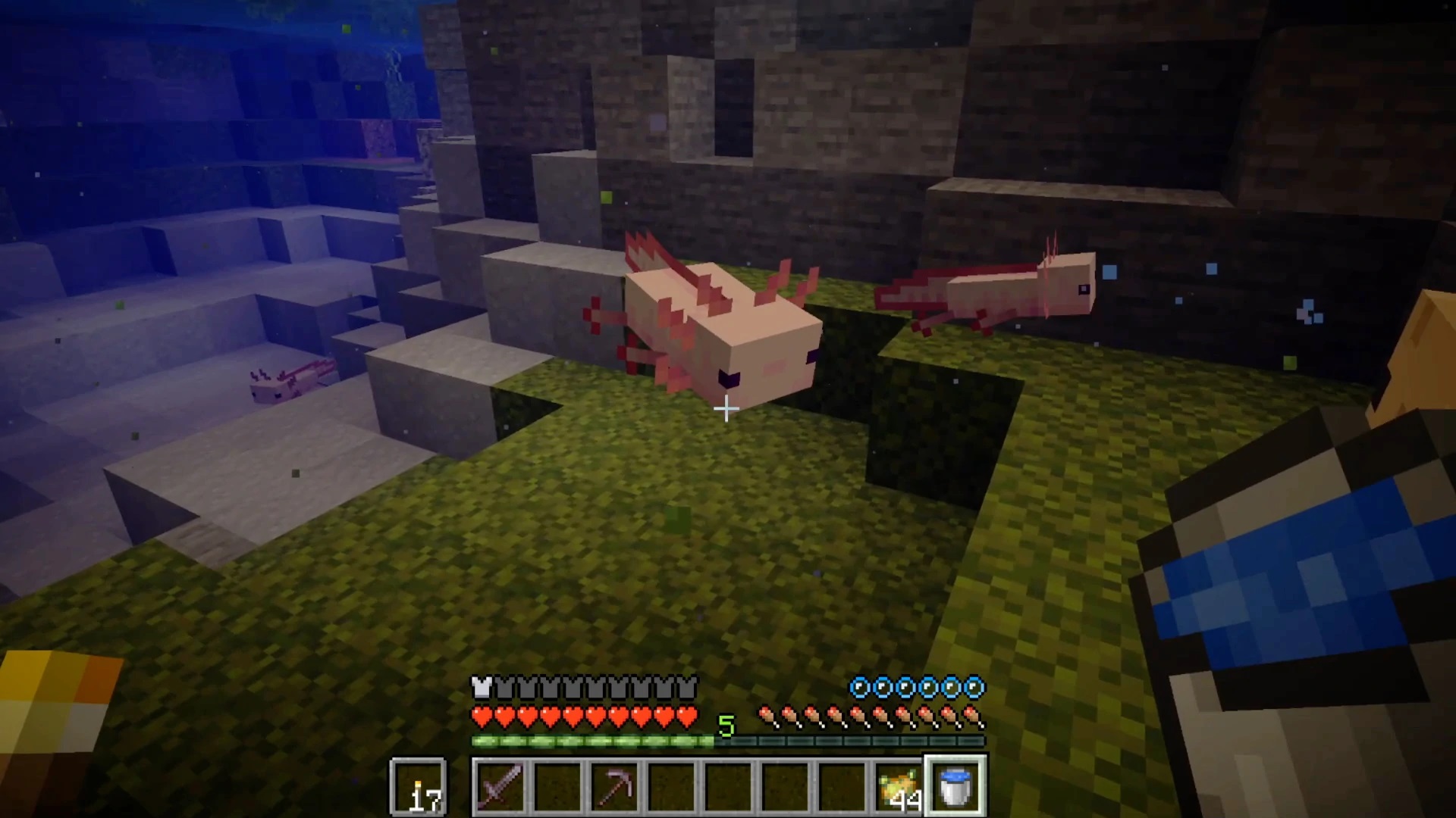 Minecraft Caves & Cliffs How To Spawn Axolotl In Your Seed Gameranx