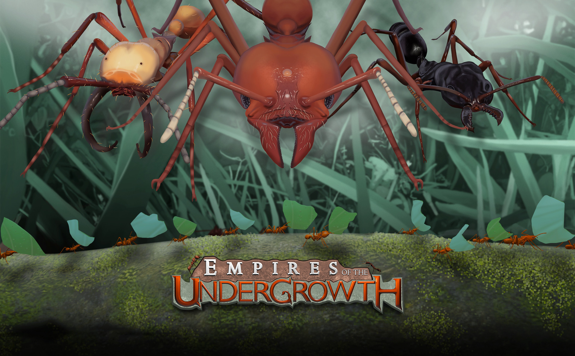 Empires Of The Undergrowth Species Guide Gamer Of Passion