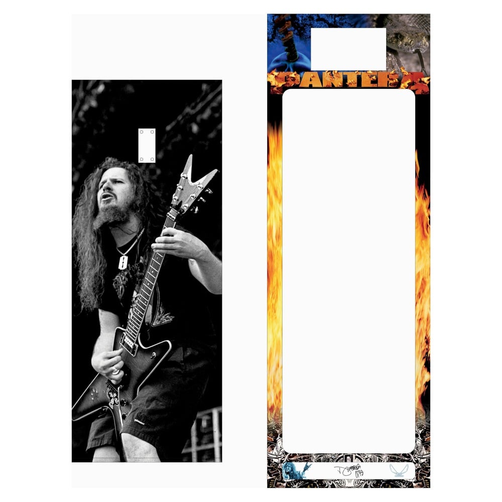 Guitar Wall Mount Case