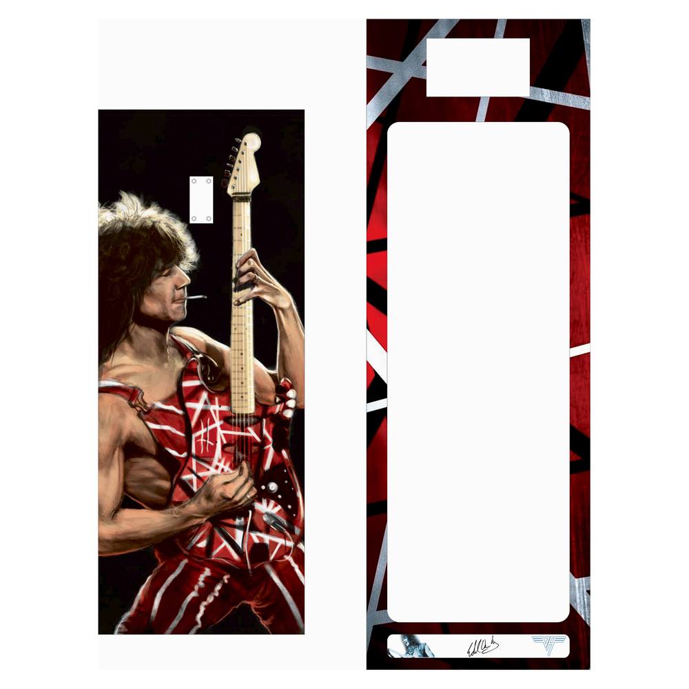 Guitar Wall Mount Case