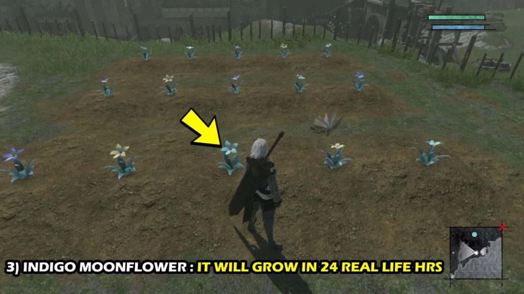 Life In The Sands How To Get Pink Moonflower Seed in NieR Replicant