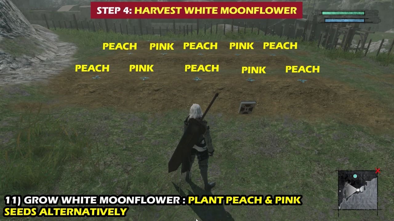 Legendary Gardner Trophy How To Get White Moonflower in NieR Replicant