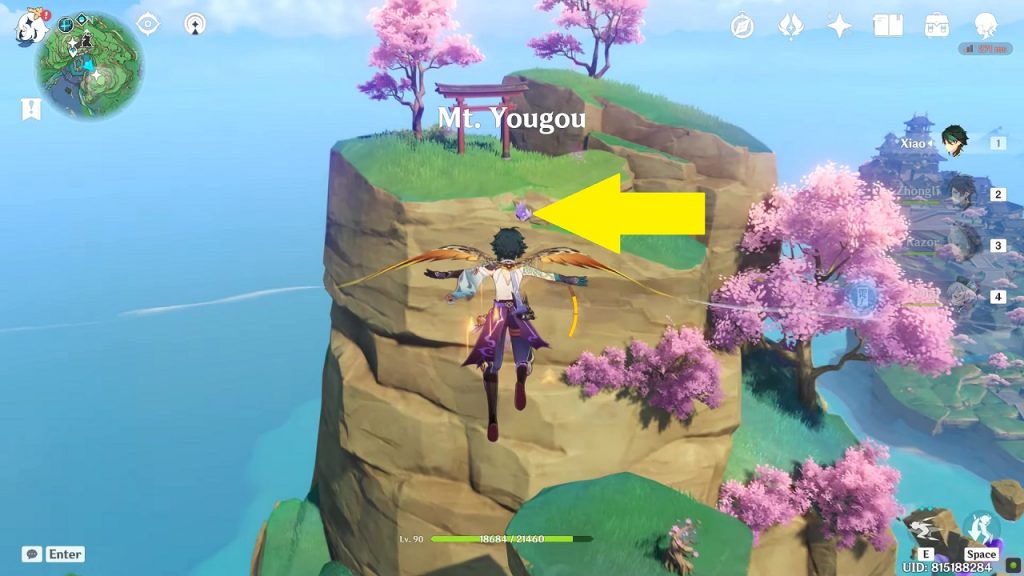 Narukami Island All 38 Electroculus Location Genshin Impact 2.0