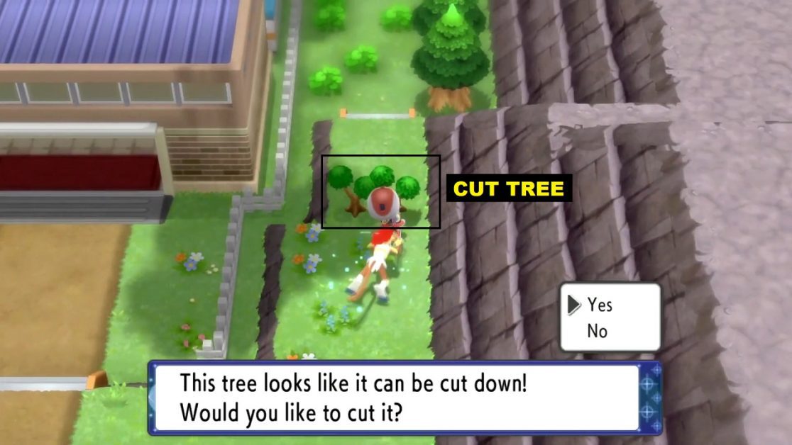 Gible Location & How to Catch Gible Pokemon Brilliant Diamond