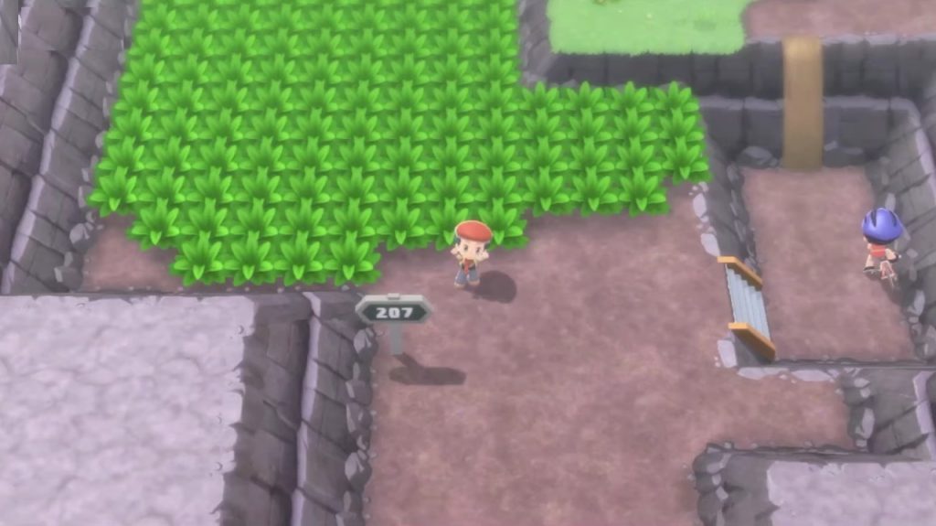 route 207 pokemon brilliant diamond rinconmezquita