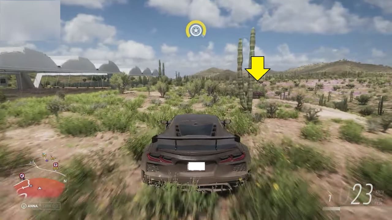 Forza Horizon 5 New Heights Treasure Hunt & Find Treasure Chest