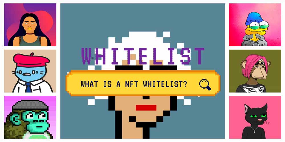 Whitelist Meaning