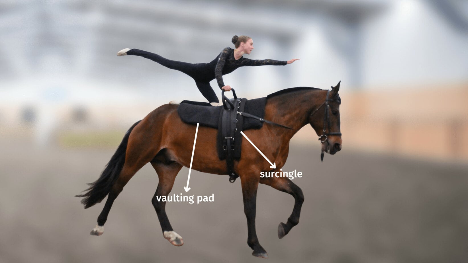EQUESTRIAN VAULTING Game Rules
