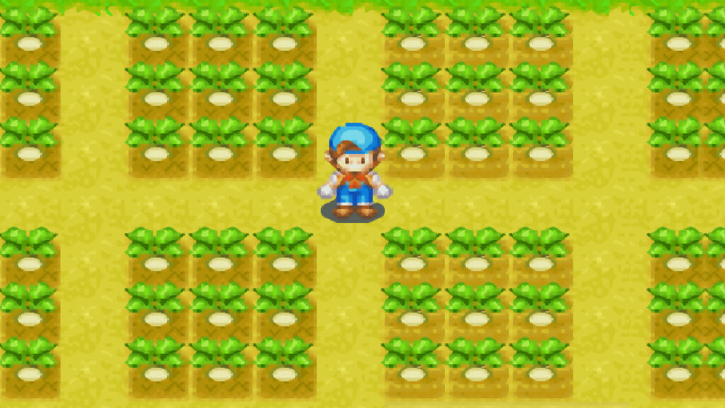 Turnip Harvest Moon FoMT