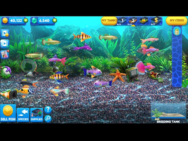 Fish Tycoon 2 Virtual Aquarium Free Download Full Version