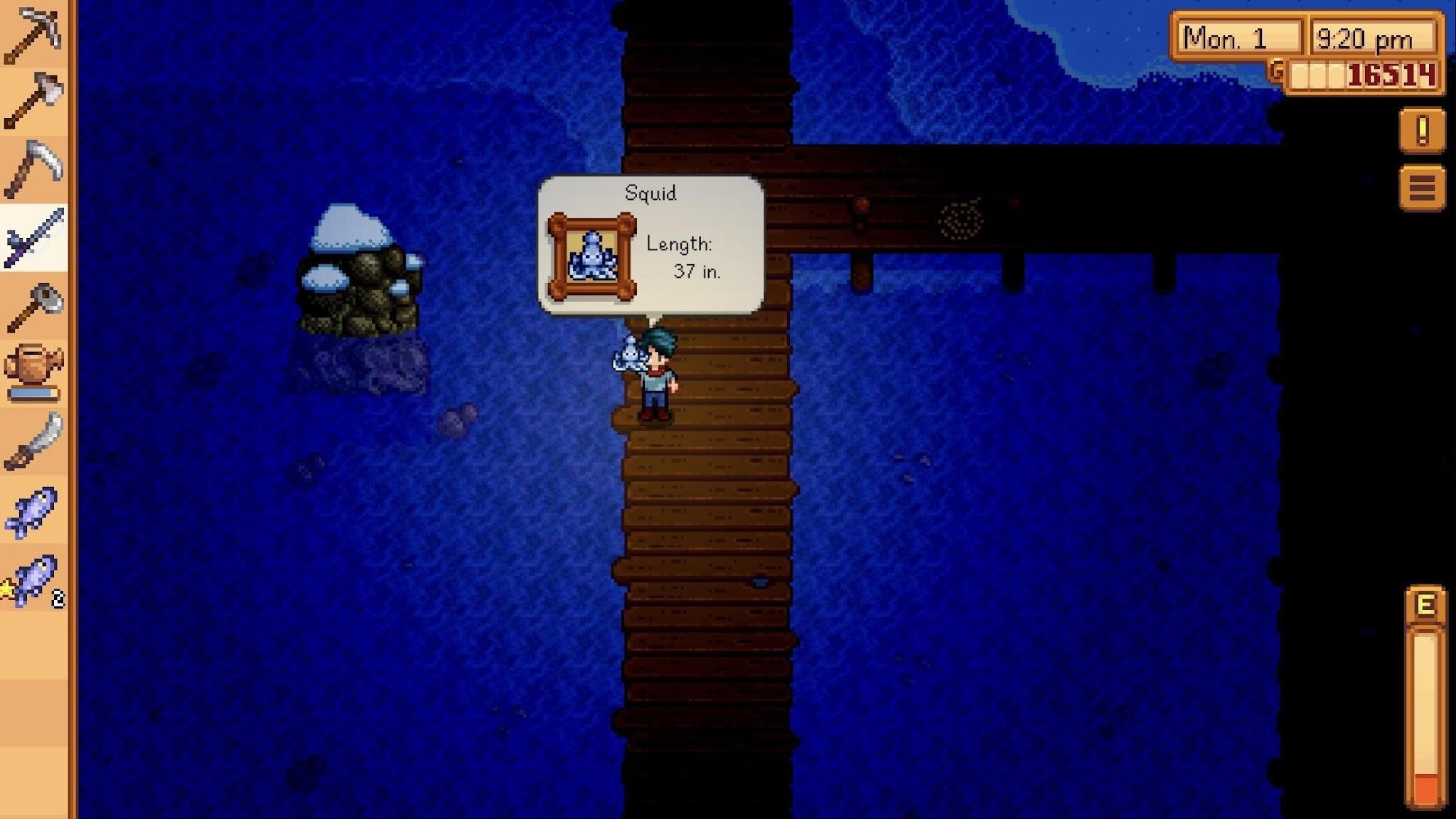 Stardew Valley How to "Catch A Squid" Quest Guide GamerGoats