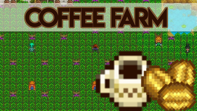 Stardew Valley Coffee Beans Is it Profitable to Grow Them