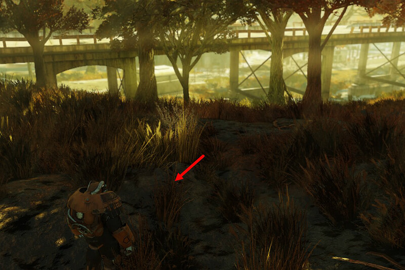 Fallout 76 All Treasure Maps Locations Guide