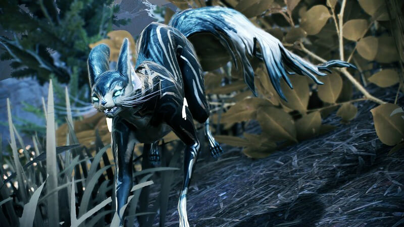 Warframe Kavat How to Get Guide and Tips