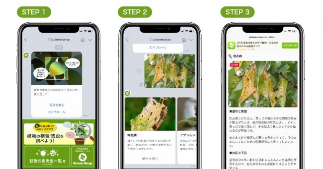 大切な植物を守ろう「Dr.GreenSnap（ドクターグリーンスナップ）」サービス開始