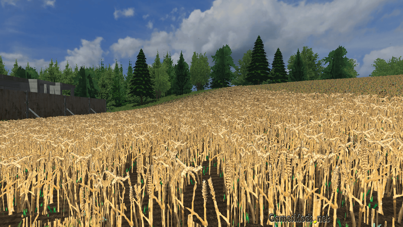Wheat texture » FS19, FS17, ETS 2 mods