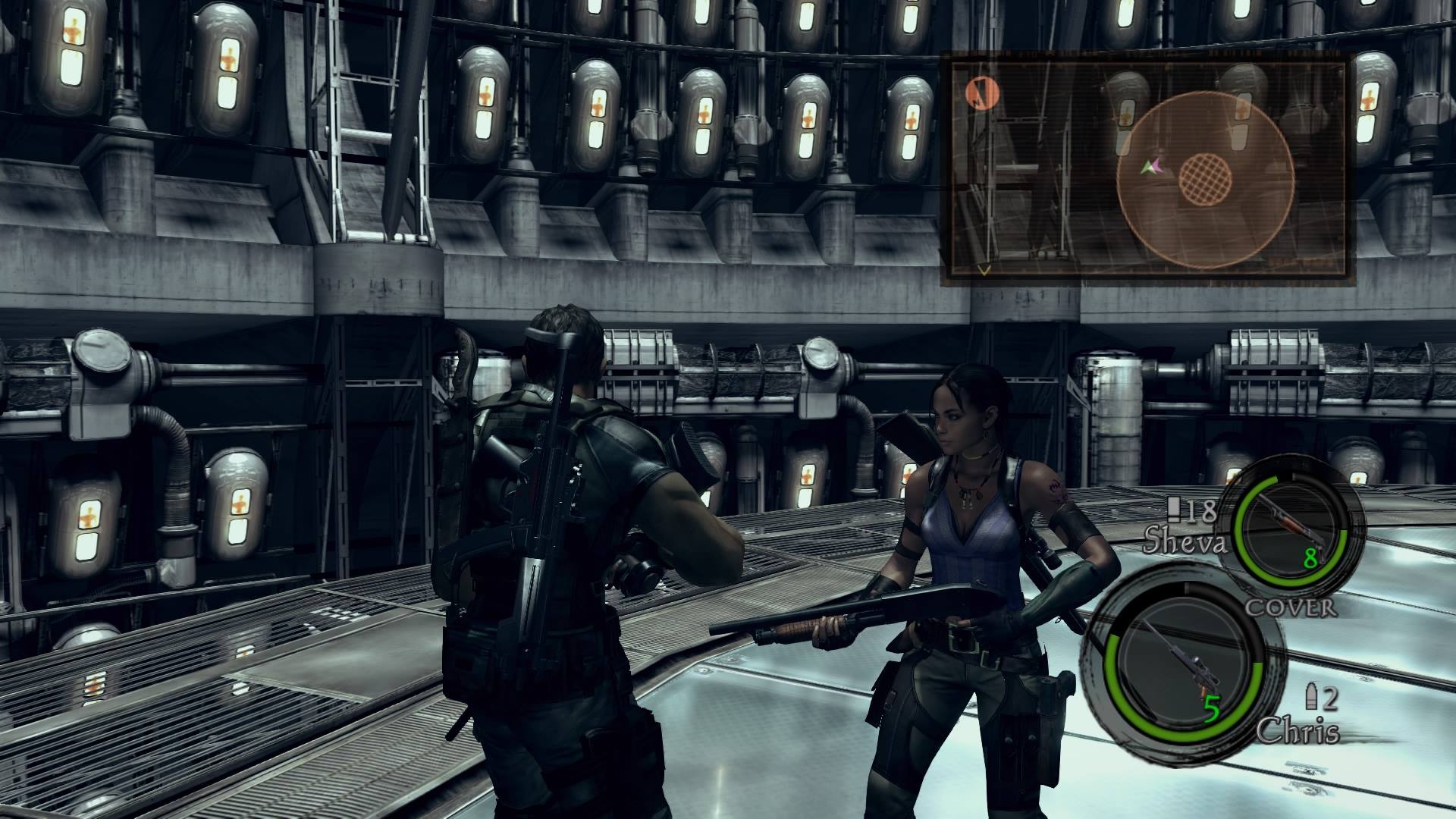 Resident Evil 5 3