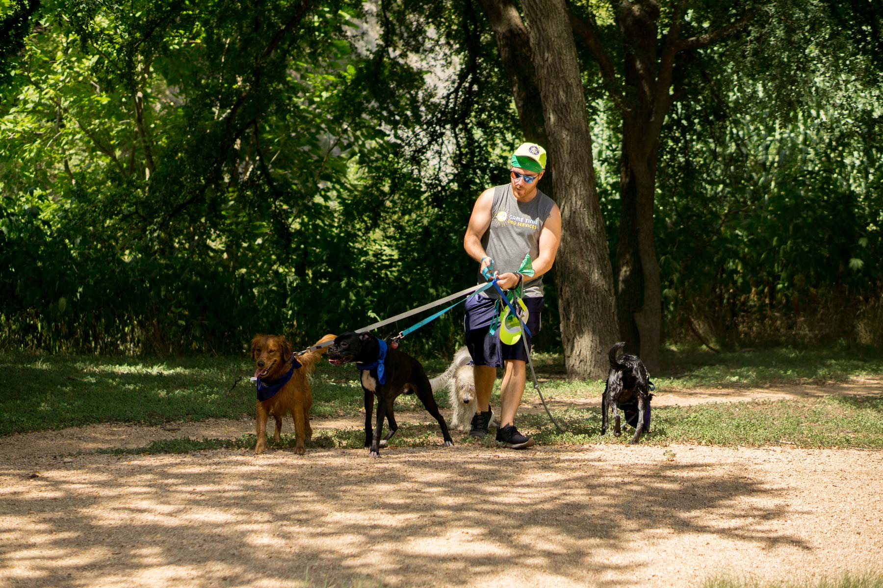 How To Keep Your Dog Fit