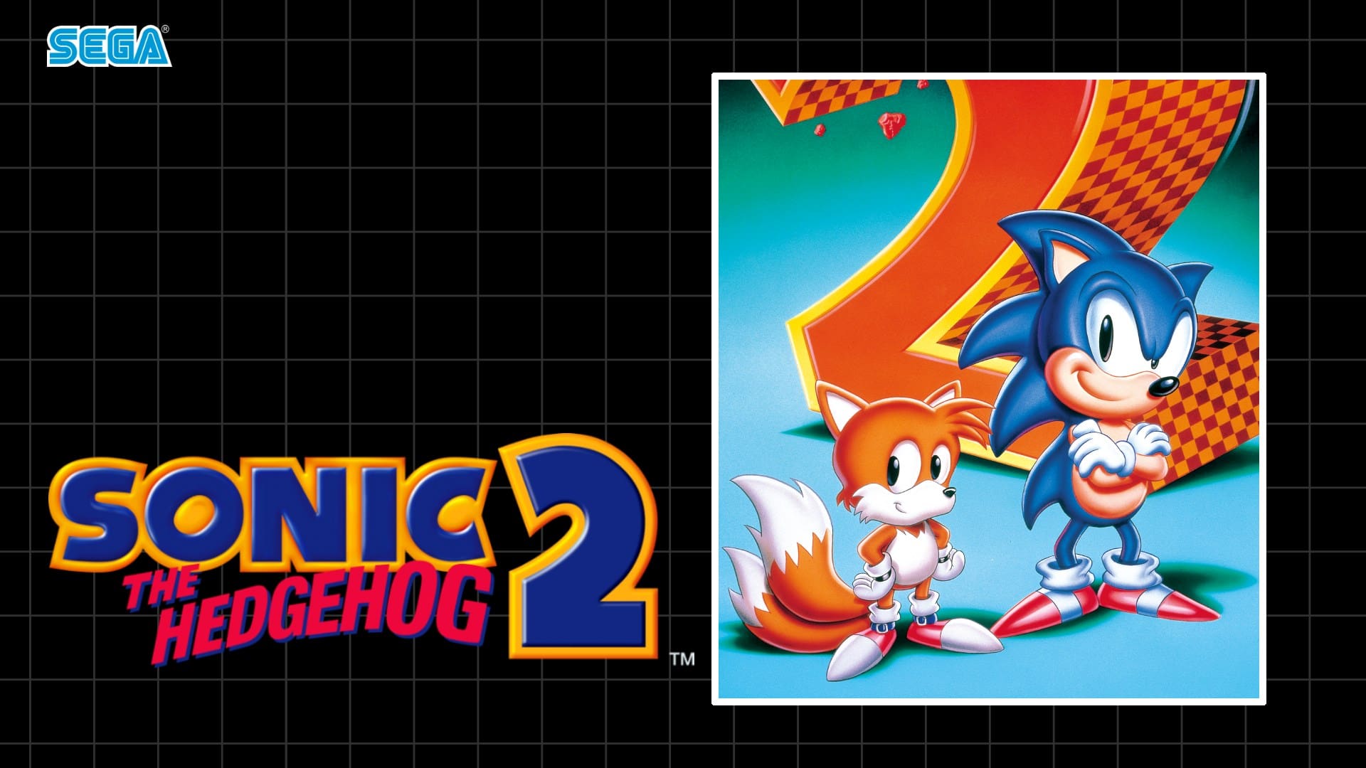 Sonic the Hedgehog 2 Free Download GameTrex