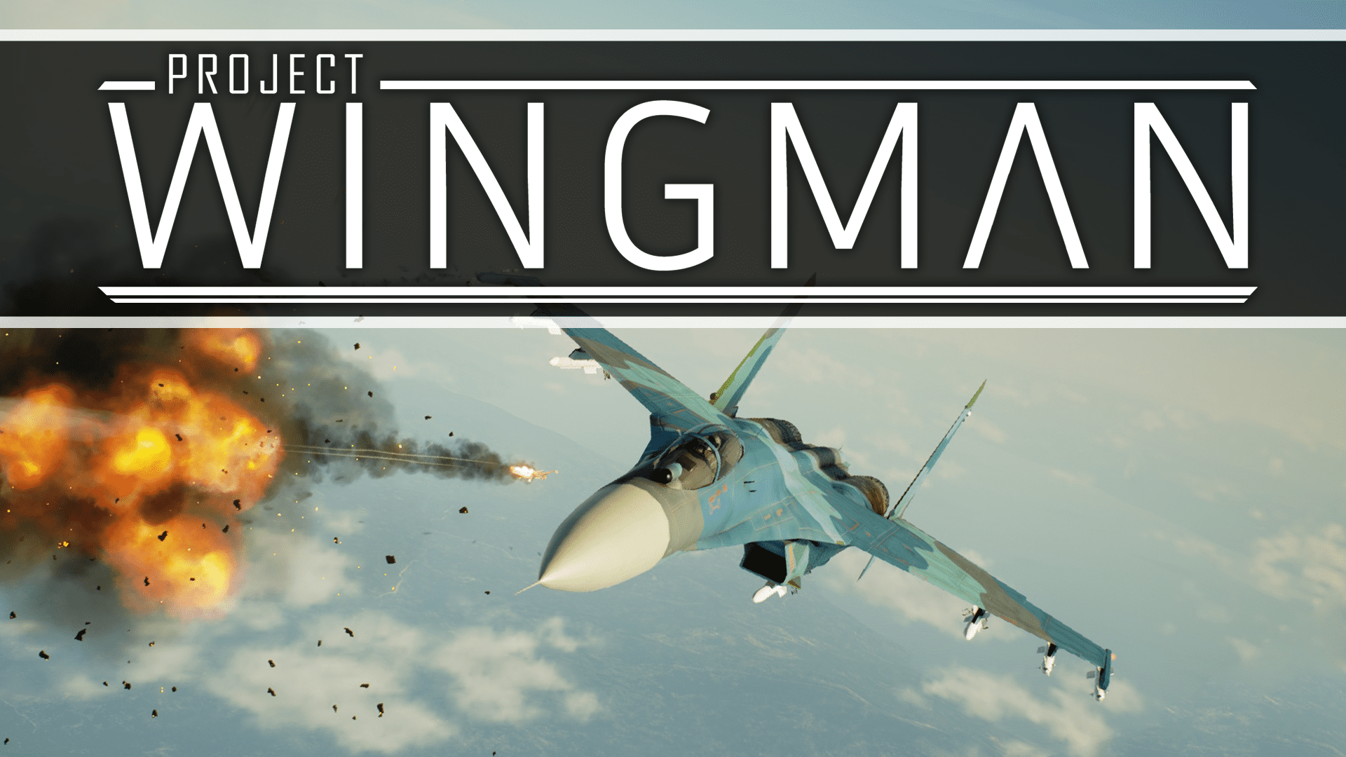 Project Wingman Free Download GameTrex