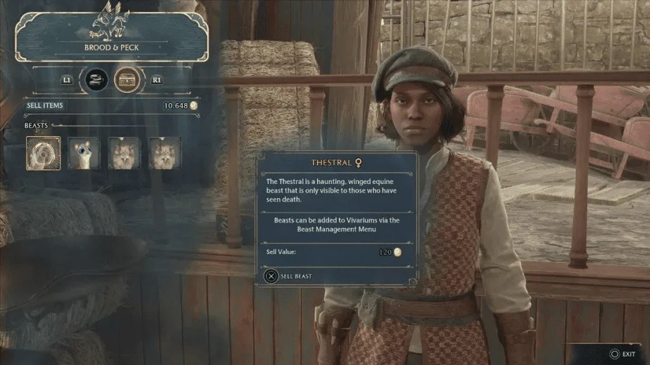 You Can't Sell Plants in Hogwarts Legacy (2 Alternatives) Game Voyagers