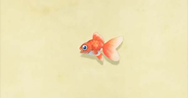 ACNH Goldfish How To Catch & Price Animal Crossing GameWith