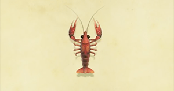 ACNH Crawfish How To Catch & Price Animal Crossing GameWith