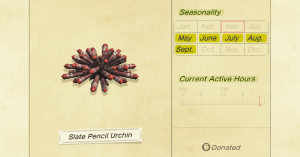 ACNH Slate Pencil Urchin How To Catch & Price Animal Crossing