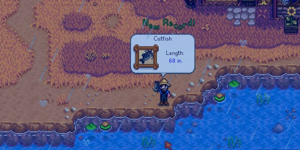 Stardew Valley How to Catch a Catfish