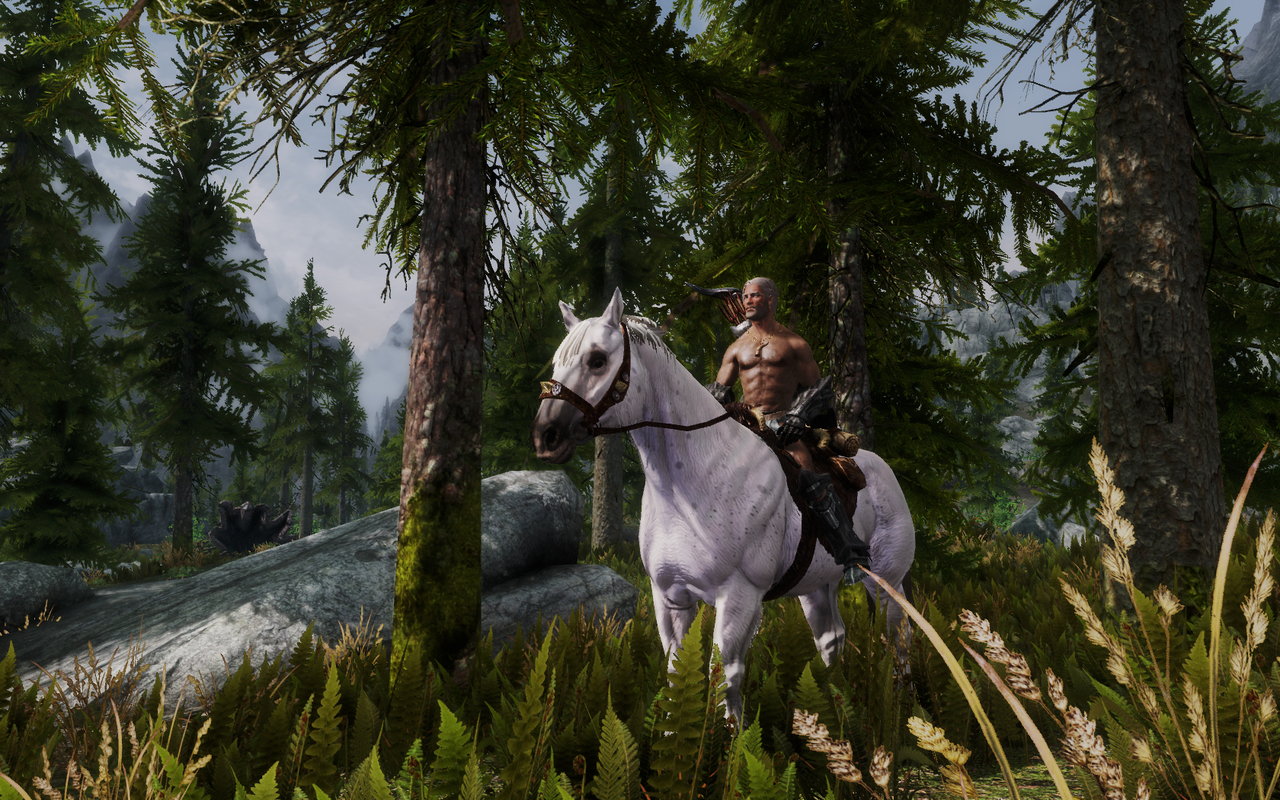 Gionight’s custom ENB settings released; Skyrim looks spectacular with it
