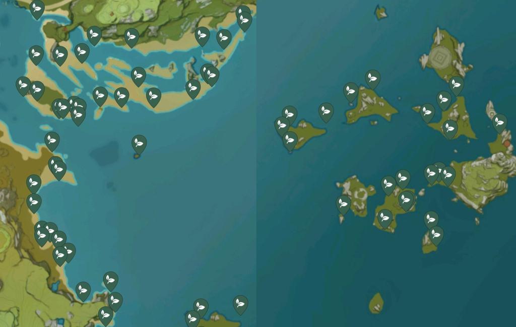 Genshin Impact Guide Where to find the Starconch quickly