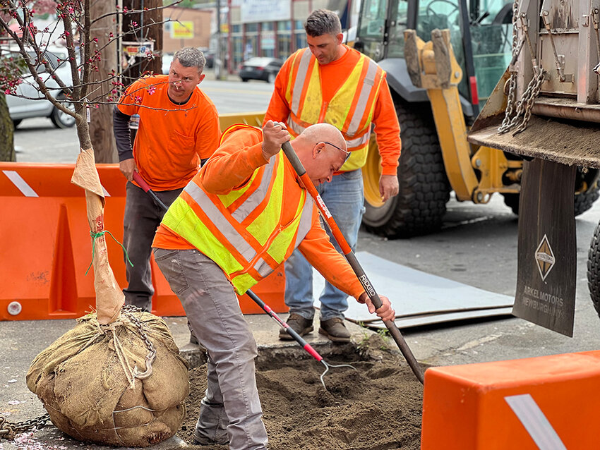 Newburgh celebrates Arbor Day My Hudson Valley