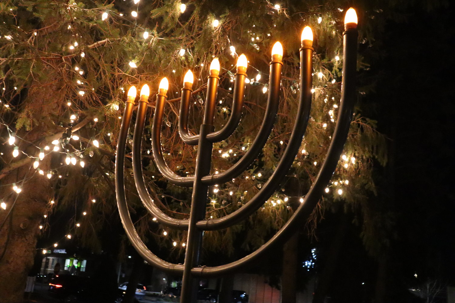 Village hosts first annual menorah lighting Herald Community