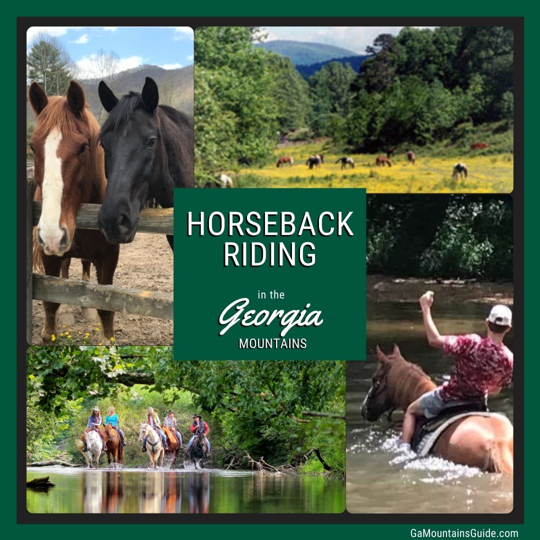 Horseback Riding in North 🐴 Ga Mountains Guide