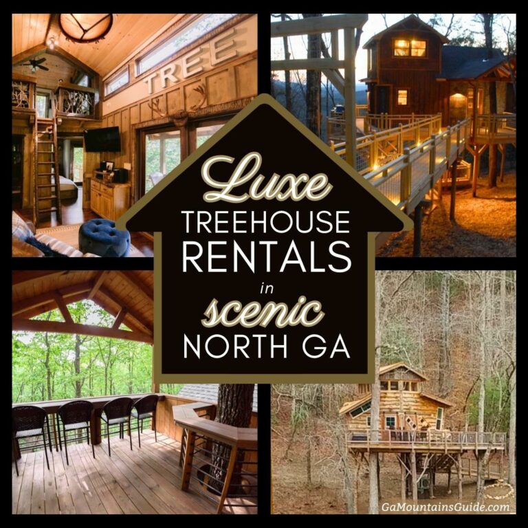 Luxury Treehouse Rentals in North GA 🌳 Ga Mountains Guide