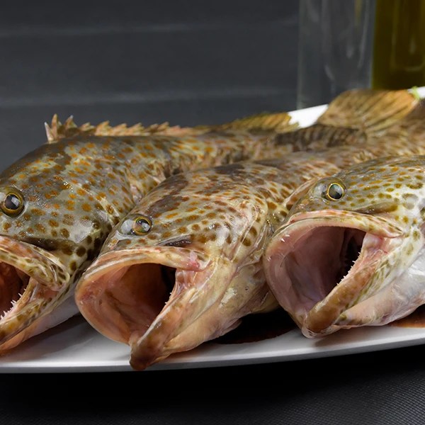 Best grill fish in Abu Dhabi at Gandofly Seafood Restaurant Gandofly