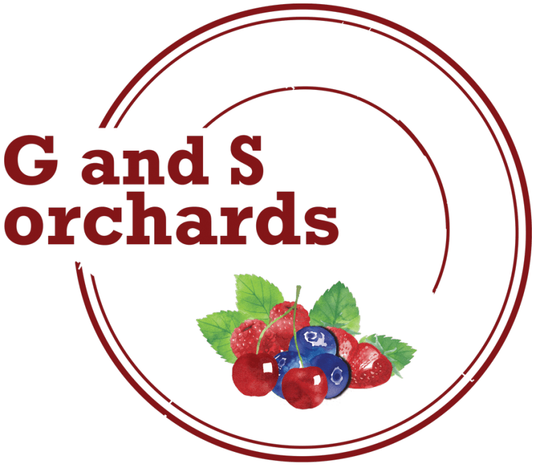 Apple Farm You Pick Apples in Rochester, NY G and S Orchards