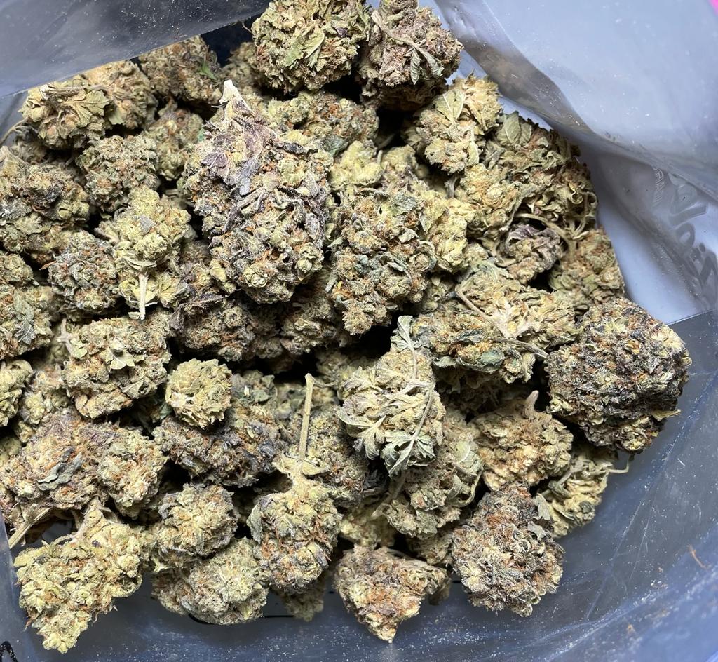 Buy Kootenay Garden's Black roses Online Canada Ganja Express