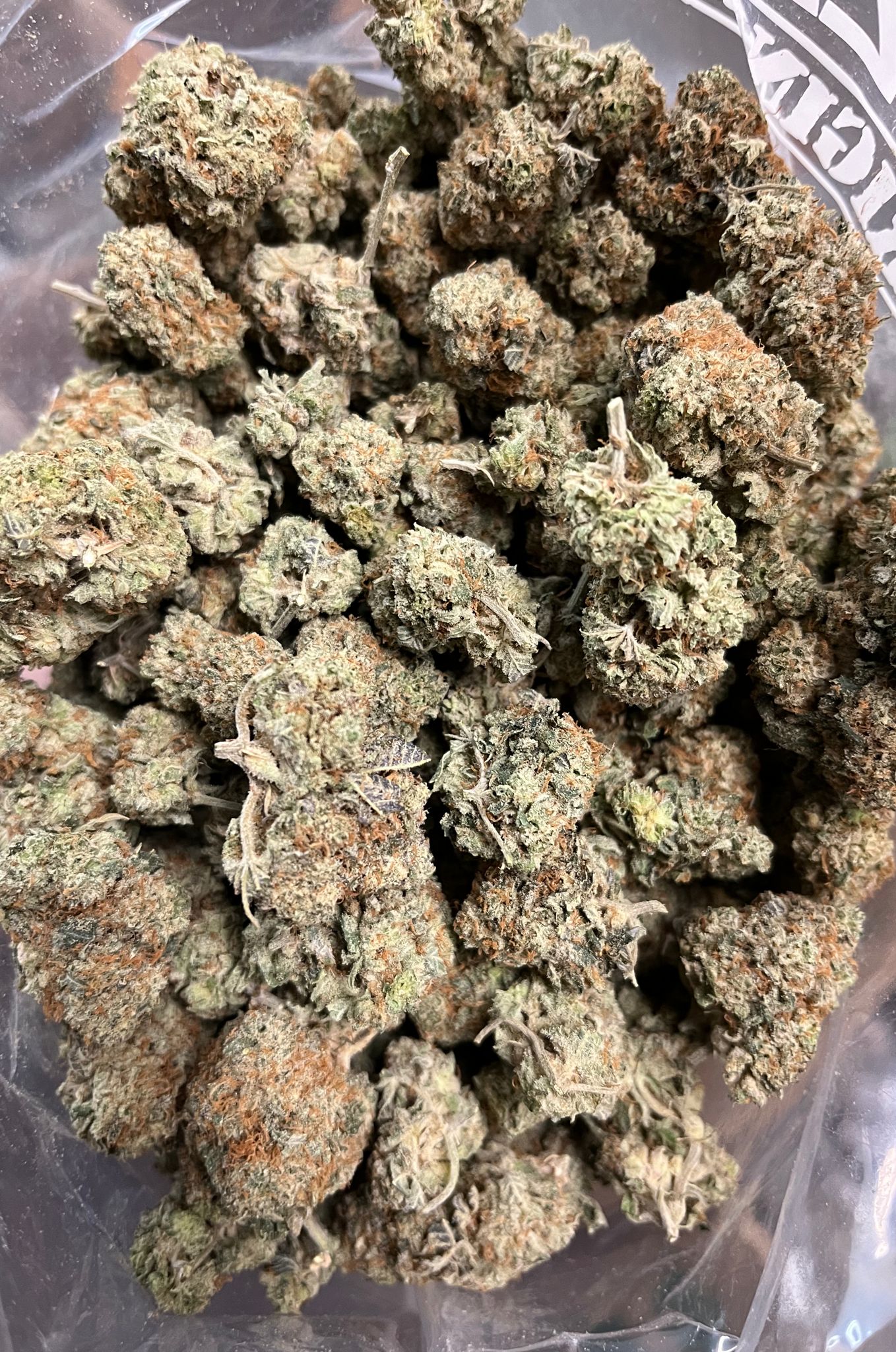 Buy Punky Lion Online Canada Ganja Express