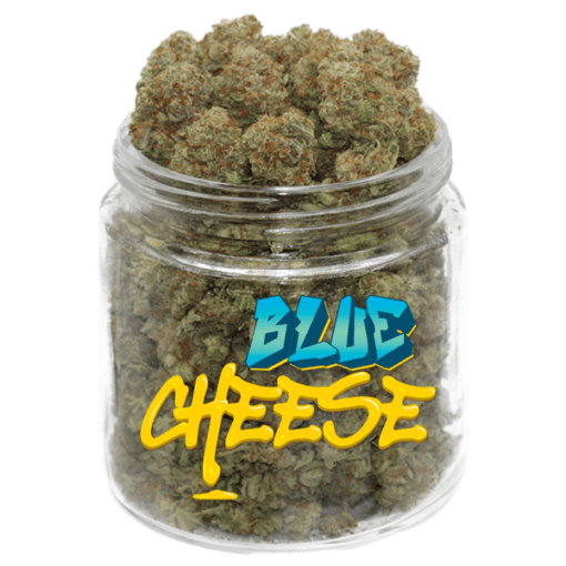 Buy Blue Cheese Marijuana Strain Ganja for sale online ganja shop uk