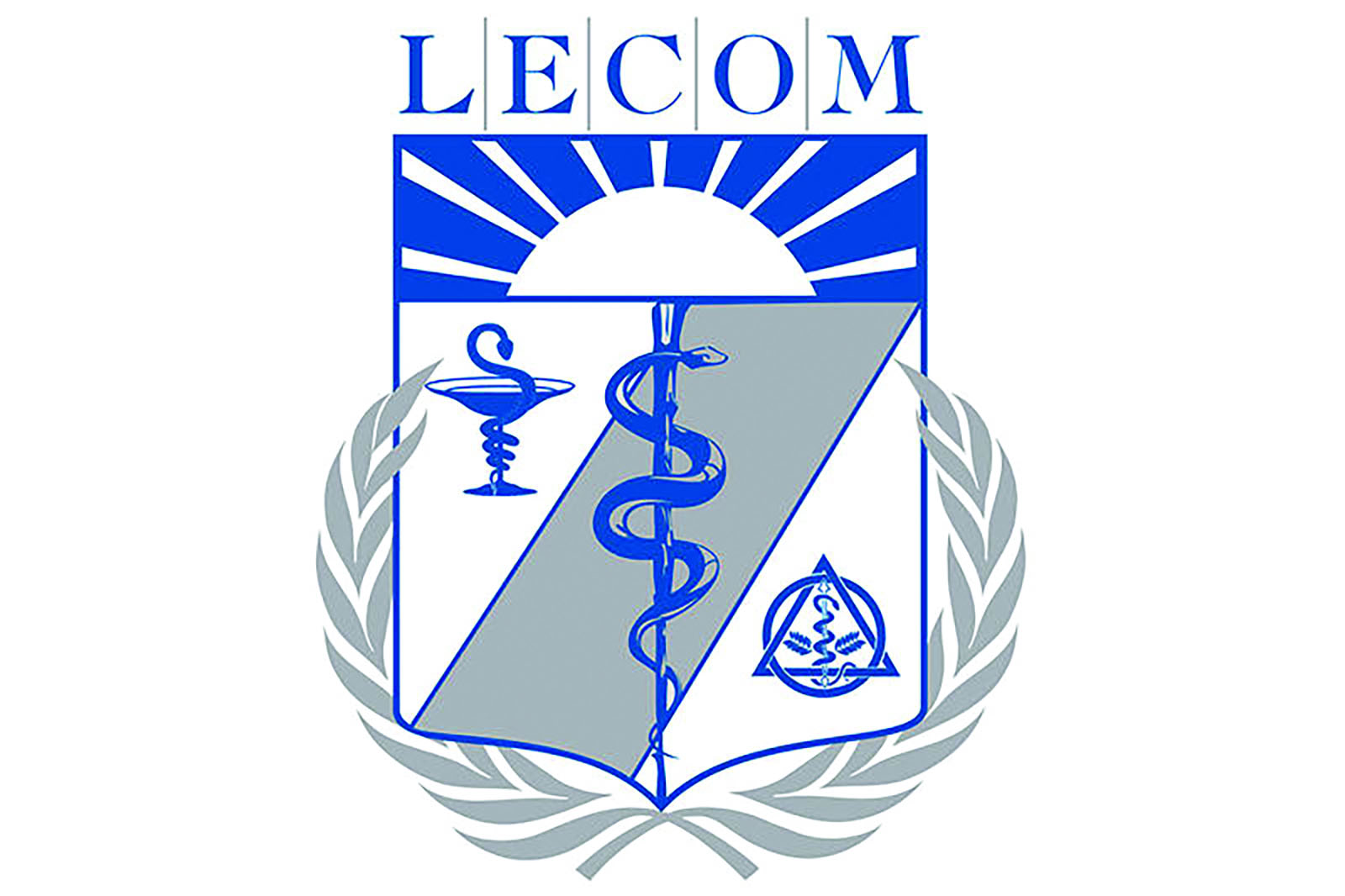 OT students wellness at THE GANNON KNIGHT