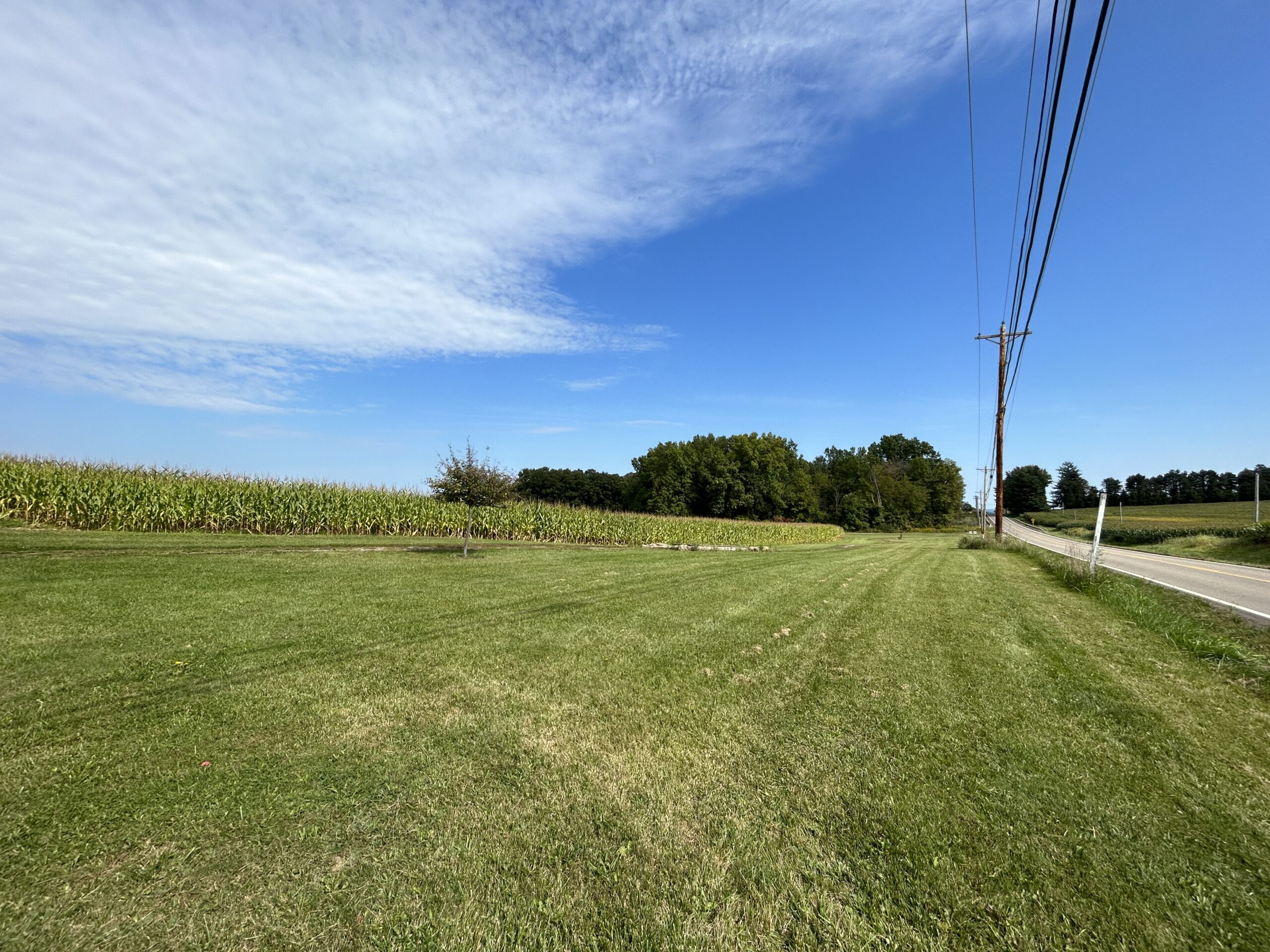 Murray Land Auction Gant Realty