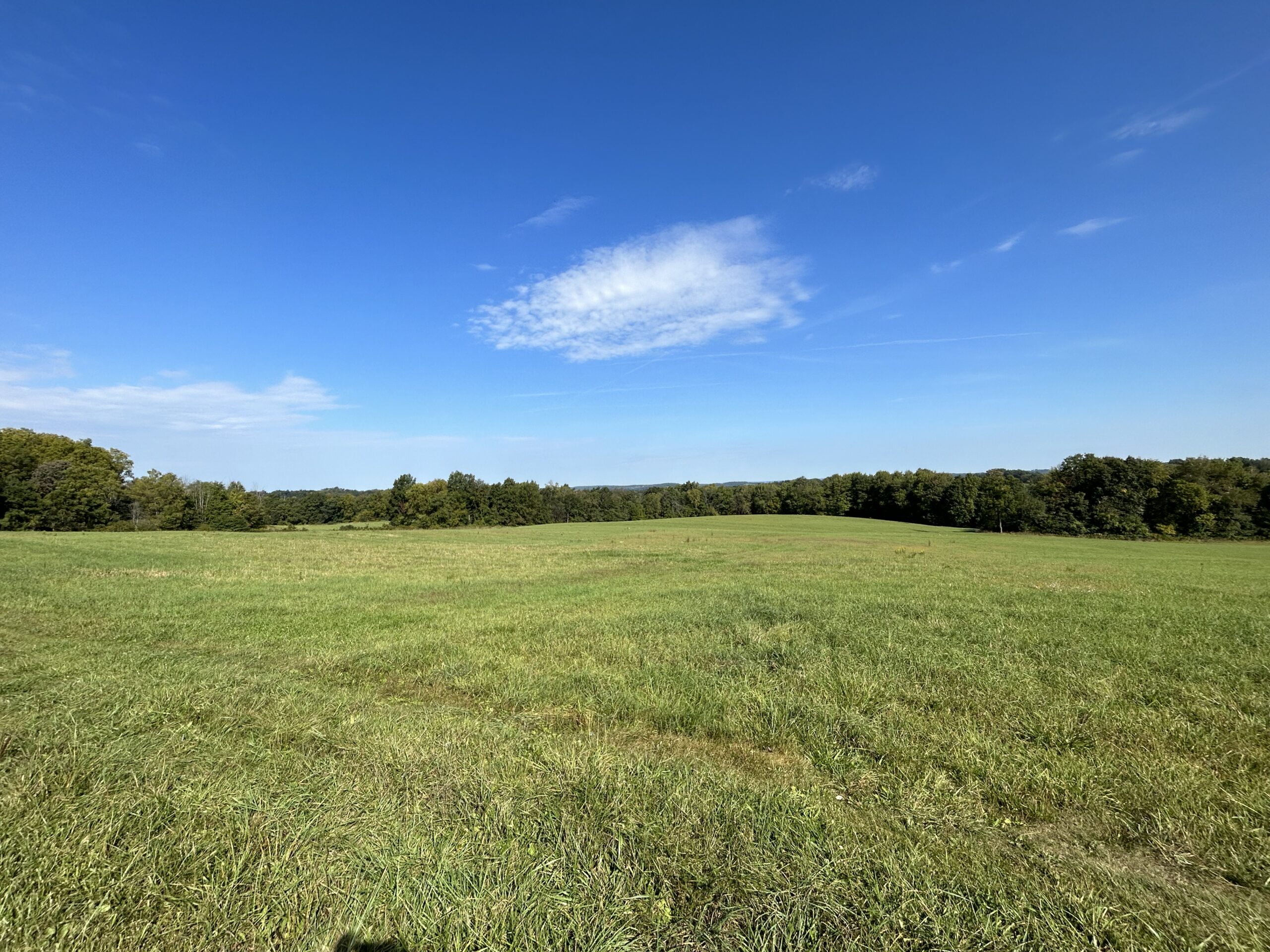 Murray Land Auction Gant Realty